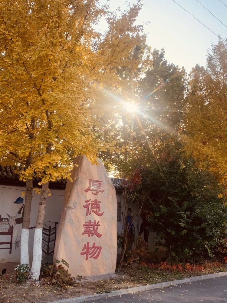 海淀区|这20所北京中小学幼儿园的秋季美景，你想为谁点赞？