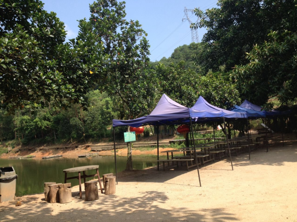 深圳九龙生态农业园区位于坪山现代示范园区_腾讯新闻