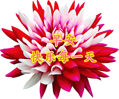 12月26日每日祝福