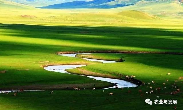 内蒙古|蒙古国捐赠的4000只羊已入境！什么品种？适合我国饲养吗？