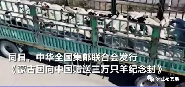 内蒙古|蒙古国捐赠的4000只羊已入境！什么品种？适合我国饲养吗？