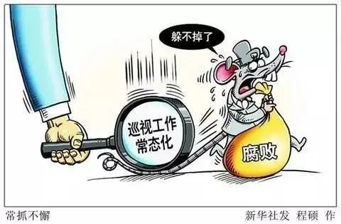 巡视组,巡察组,巡查组,督导组,督察组,督查组……究竟有啥区别