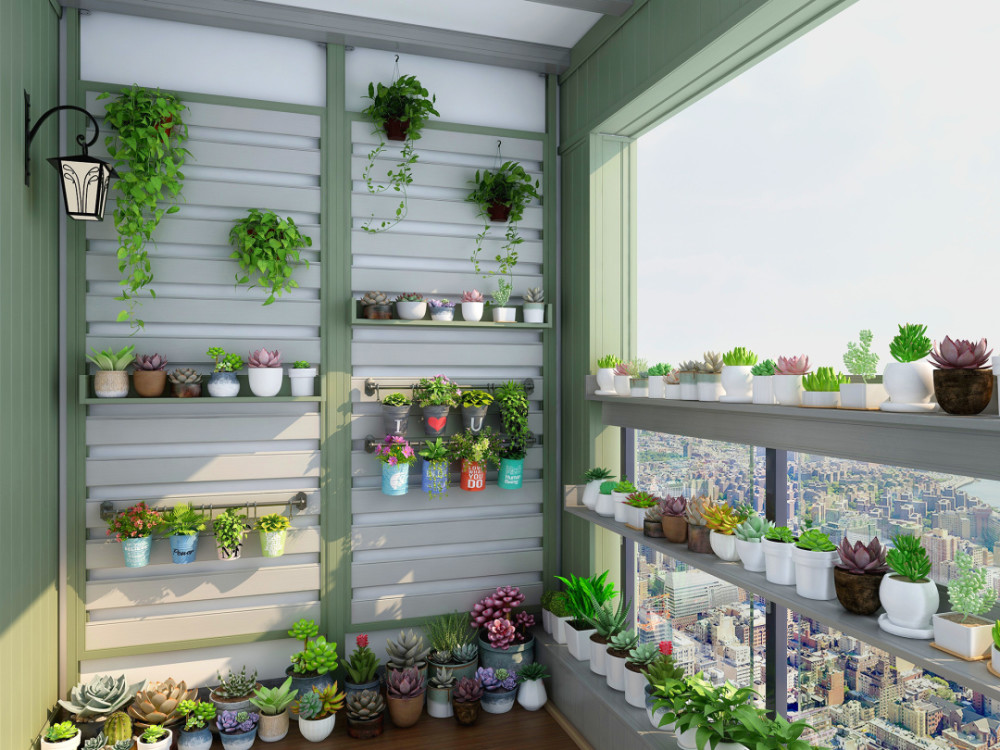 三平米阳台,教你拥有多肉花园_腾讯新闻