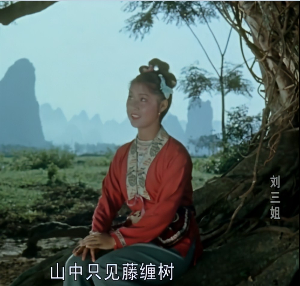 影片末尾刘三姐和阿牛哥抛绣球的那颗大榕树,现在已经成为当地一个