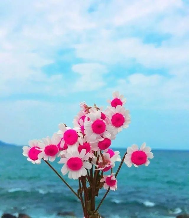 励志正能量的句子阳光向上充满了青春的气息