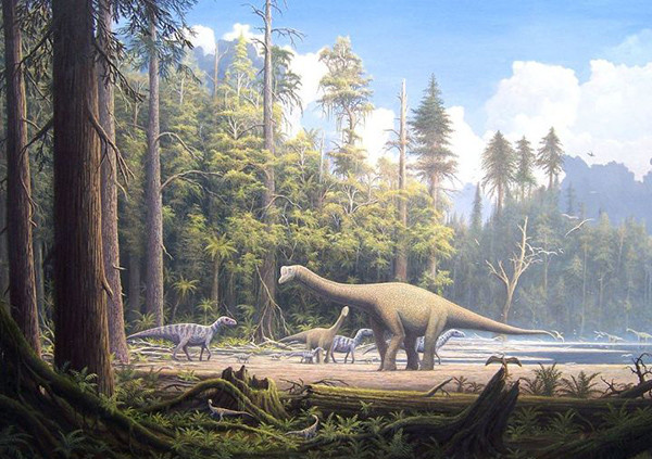 地球|为何人类几万年进化出高等智慧，而恐龙统治地球近2亿年也没有？