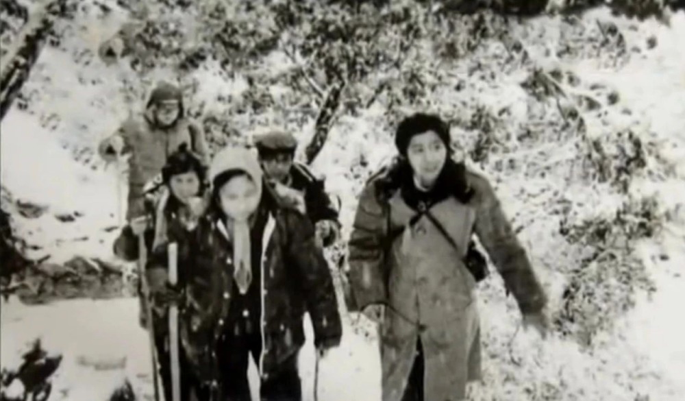 李成儒|还敢网暴他？我劝你醒醒