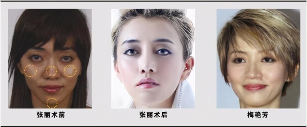 苍井空|她整容十几次，变身“梅艳芳”月入十万，涂磊：你在窃取她的成功