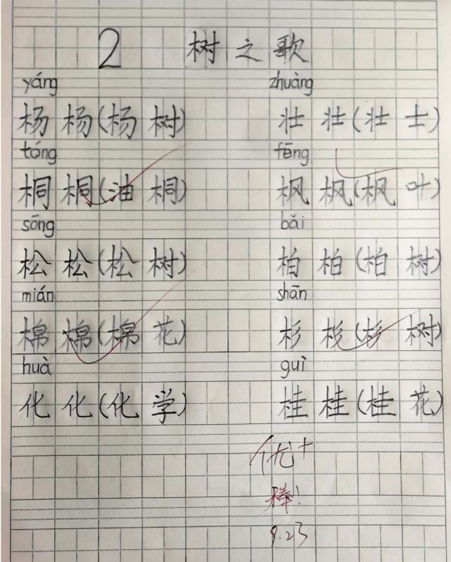 小学生手写字走红 字体标准如 印刷体 老师很不认可 数学 英语 语文 小学生 作业 小学