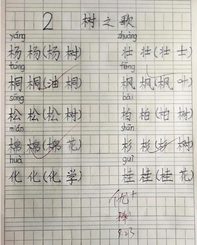 小学生手写字走红 字体标准如 印刷体 老师很不认可 数学 英语 语文 小学生 作业 小学