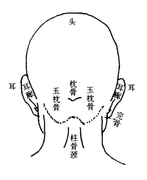 額頭有龍角骨人中龍鳳象出人頭地