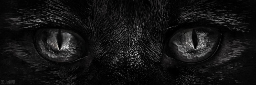 裂脑人|裂脑人，意外的治疗，却是心理学研究的里程碑，获得了诺贝尔奖