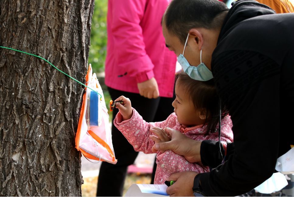 丰台区|丰台185个家庭园博园里赛定向越野