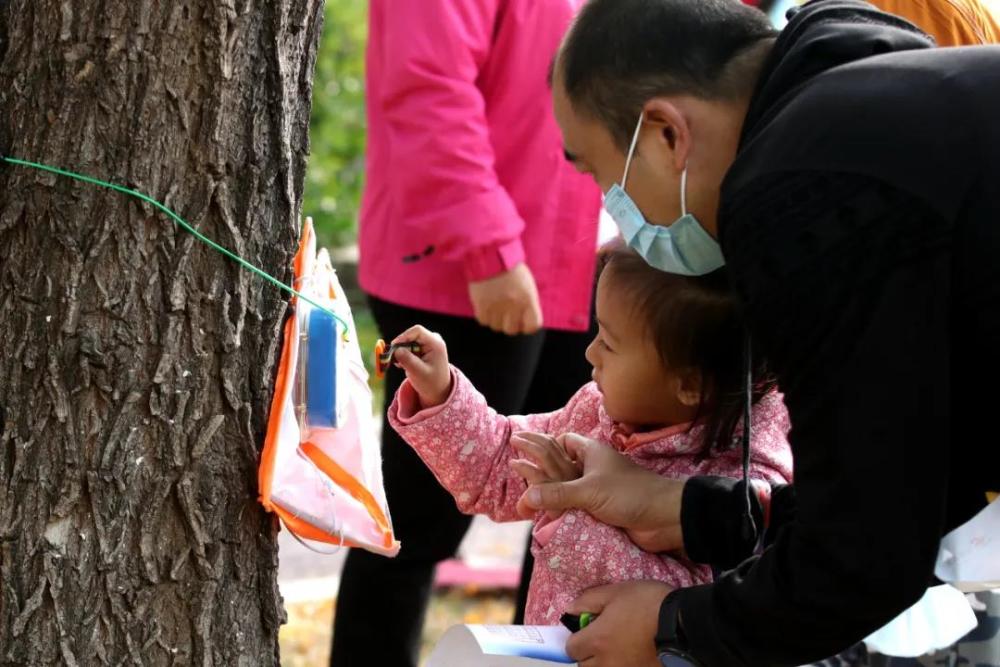 丰台区|丰台185个家庭园博园里赛定向越野