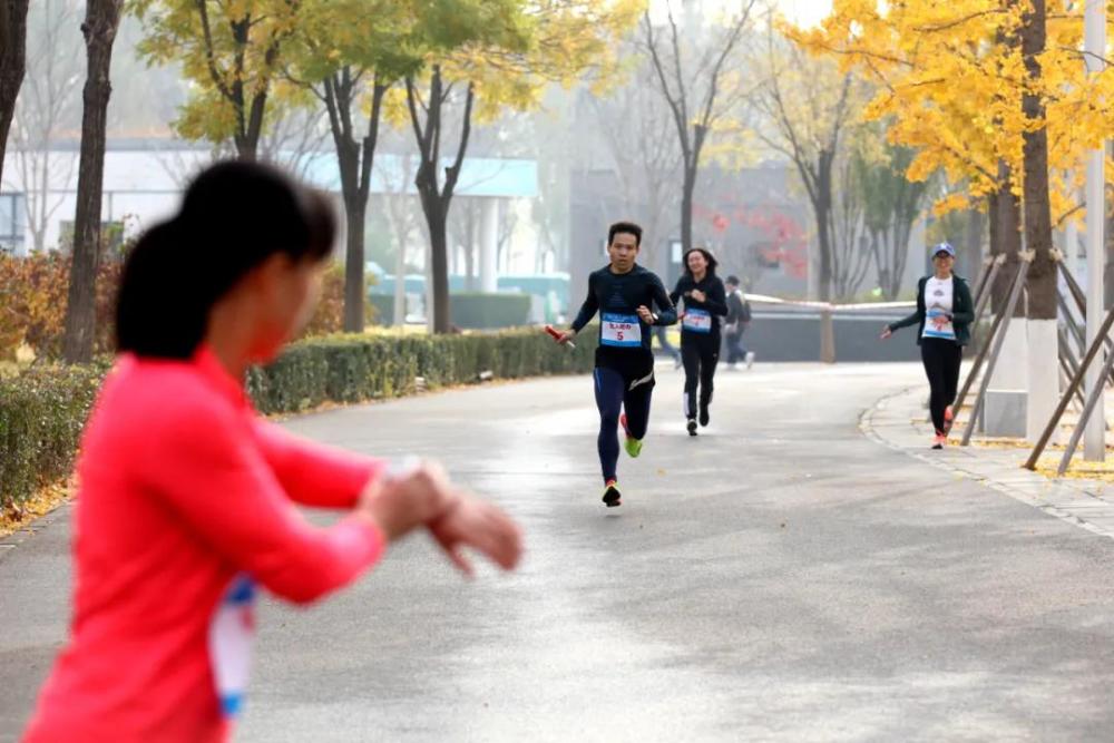 丰台区|丰台185个家庭园博园里赛定向越野