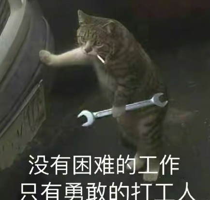 "在天愿做比翼鸟,在地愿为打工人"; "没有困难的工作,只有勇敢的打工