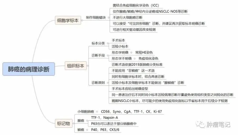 利用思維導圖學習肺癌效率事半功倍