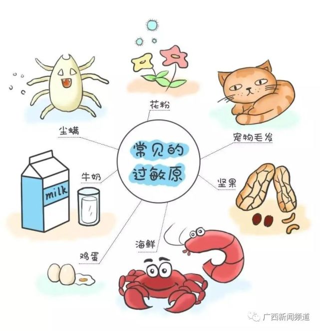 什麼是過敏性鼻炎?《健康大道》關注:鼻炎治不好?中醫為你除煩惱.