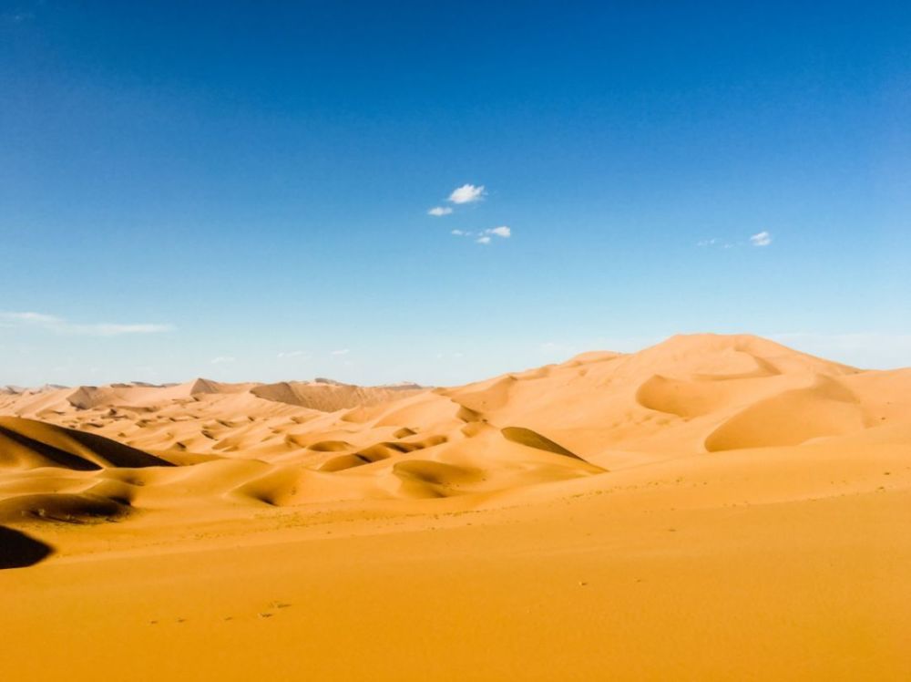 地球|如果地球上所有沙漠变成森林，会对地球有什么影响？