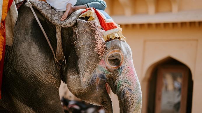 地球|如果地球上所有沙漠变成森林，会对地球有什么影响？