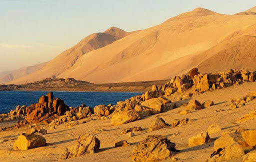 地球|如果地球上所有沙漠变成森林，会对地球有什么影响？