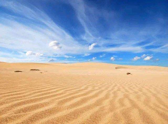 地球|如果地球上所有沙漠变成森林，会对地球有什么影响？