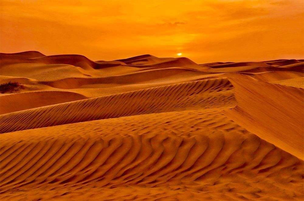 地球|如果地球上所有沙漠变成森林，会对地球有什么影响？