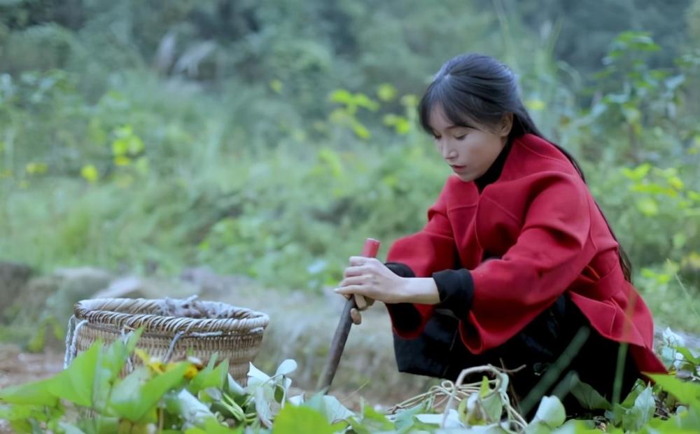 油管粉丝突破1300万为什么李子柒的视频能够这么火爆