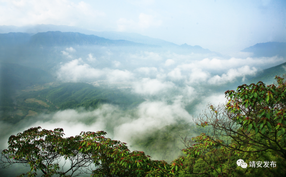 你若春日来,定会爱上靖安的雾隐青山.