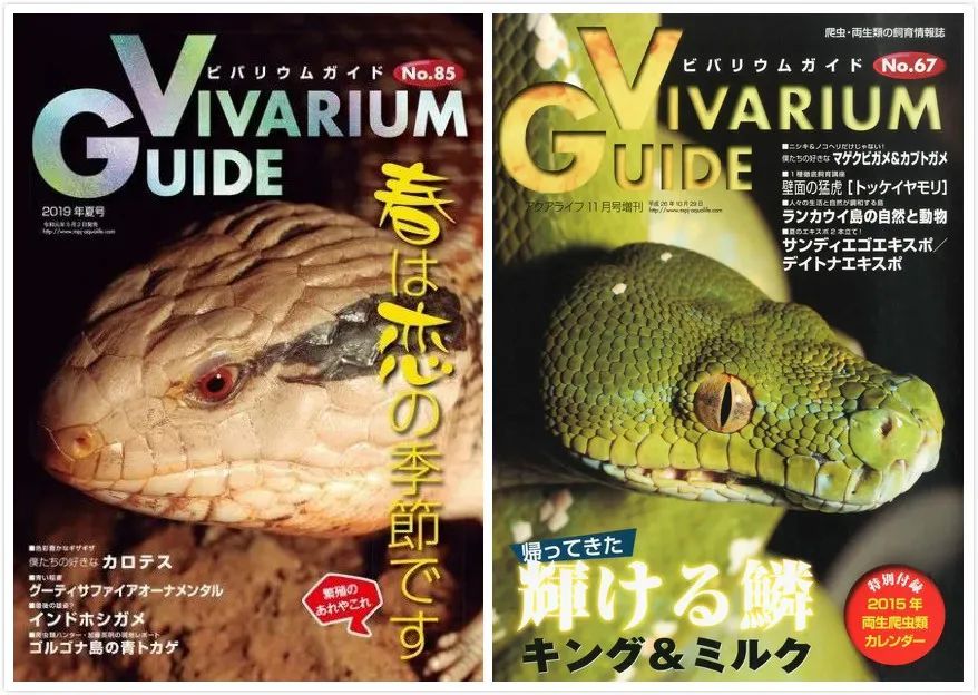 日本人做起杂志来也太疯了吧 腾讯新闻