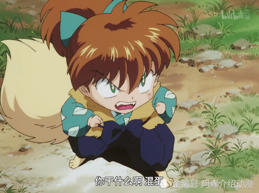 犬夜叉 吉祥物七宝想要为父报仇 没有实力的他只能寻找外援 腾讯新闻