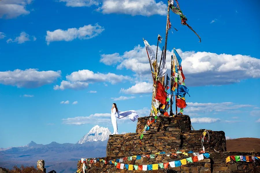 富弼|人活到一定年纪，终将不争不比不计较