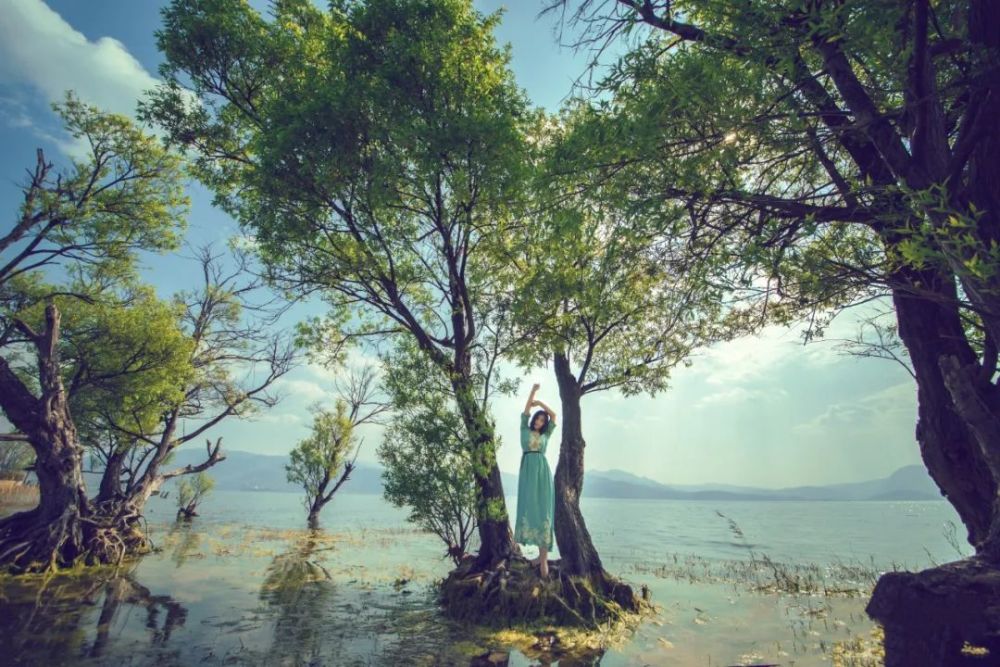 富弼|人活到一定年纪，终将不争不比不计较