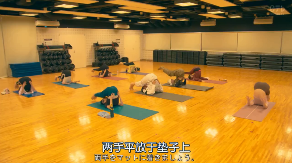 全职太太|一集入坑，这沙雕剧笑得我想飙脏话