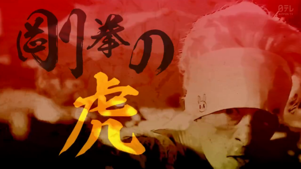 全职太太|一集入坑，这沙雕剧笑得我想飙脏话