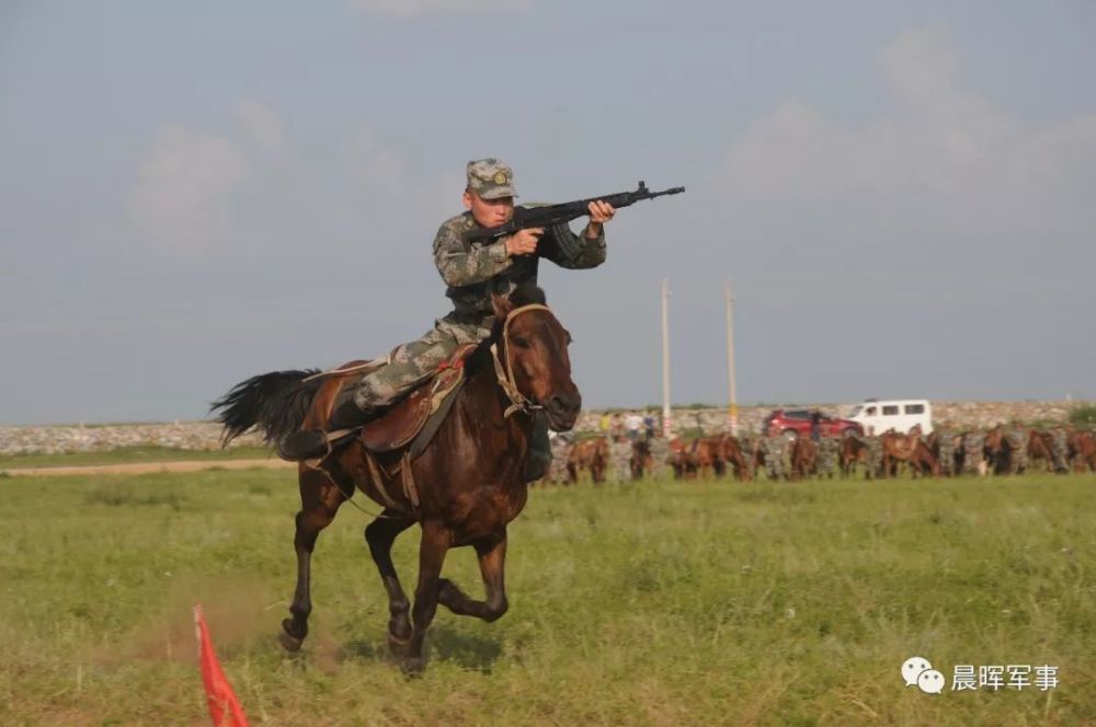 关中马骑兵图片