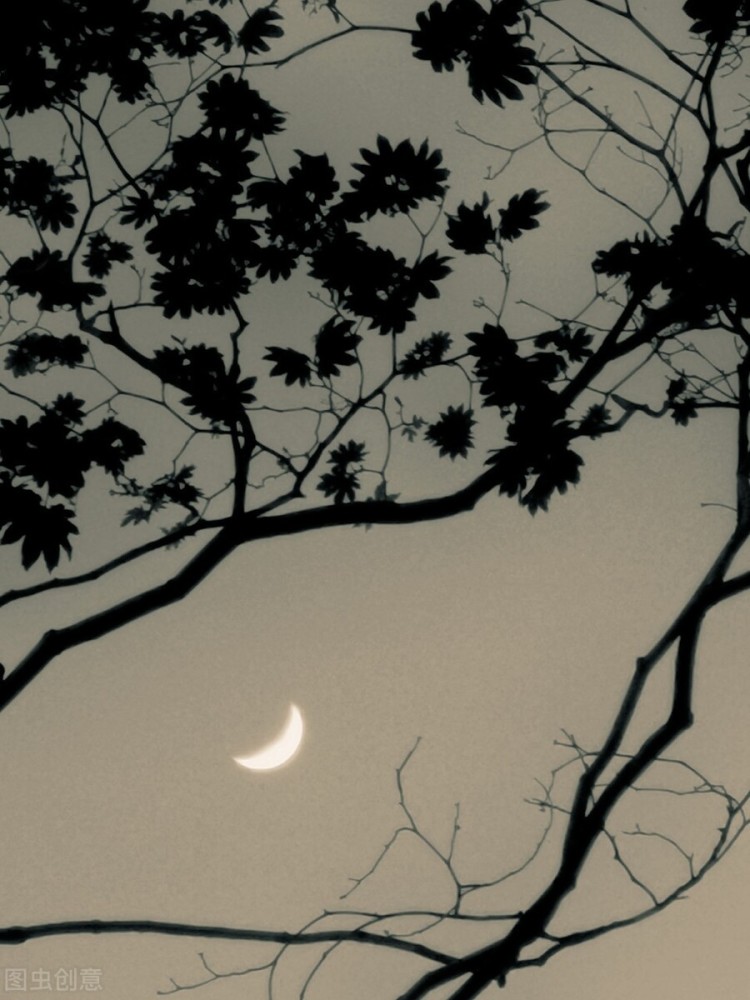 如果孤独分等级我想苏轼这首词中的孤独是十级的孤独