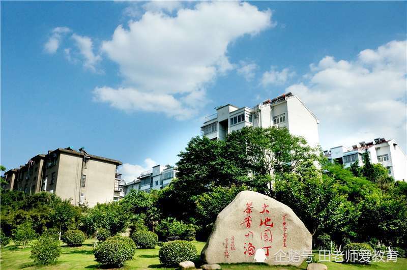 2020安徽理科560分数排名_2020安徽高考分数线公布:一本文科541分理(2)