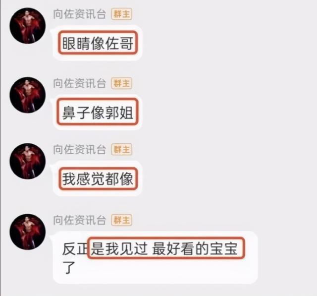 郭碧婷|向太之所以喜欢郭碧婷，是因为看准了，她是自己能驾驭的儿媳妇