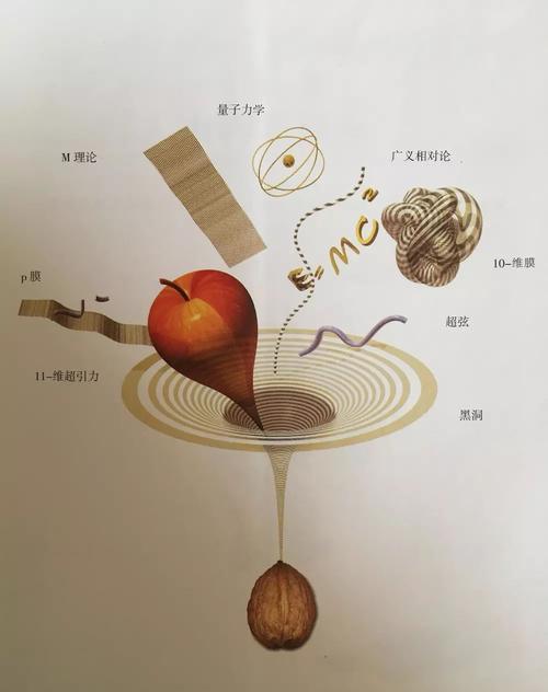 爱因斯坦|杨振宁年少时曾和爱因斯坦对话一小时，为何他说：没获得有效信息