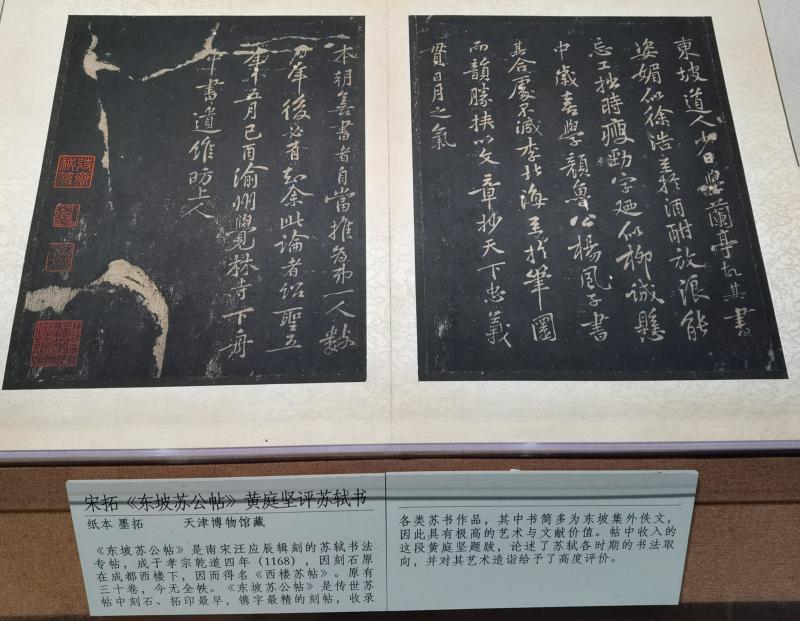 苏轼|无人不爱的东坡先生，再见！