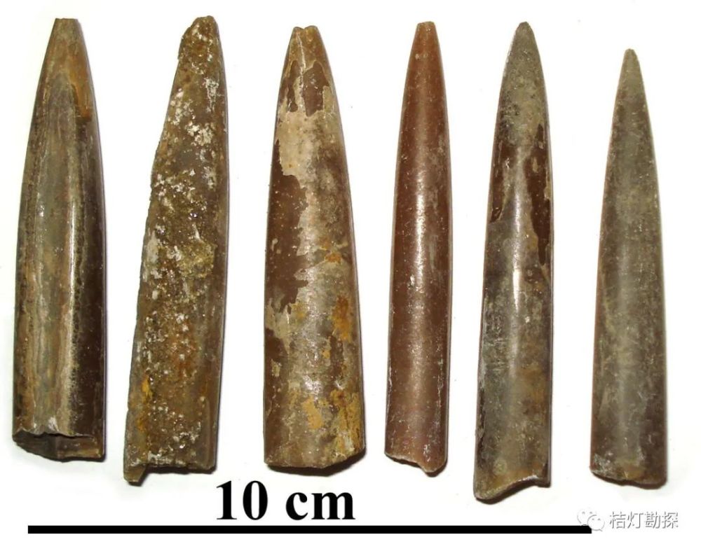 限时!送金色地质三大宝徽章!送q版经典钥匙扣!