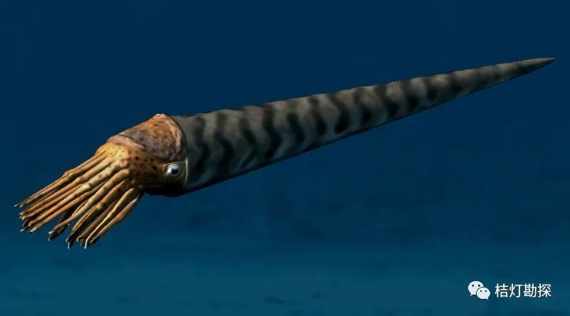 限时!送金色地质三大宝徽章!送q版经典钥匙扣!