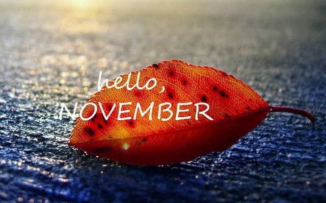 11月,你好