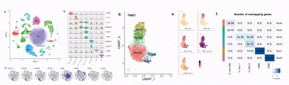 小胶质细胞|单核测序不适用于人类疾病中小胶质细胞的激活情况检测？！