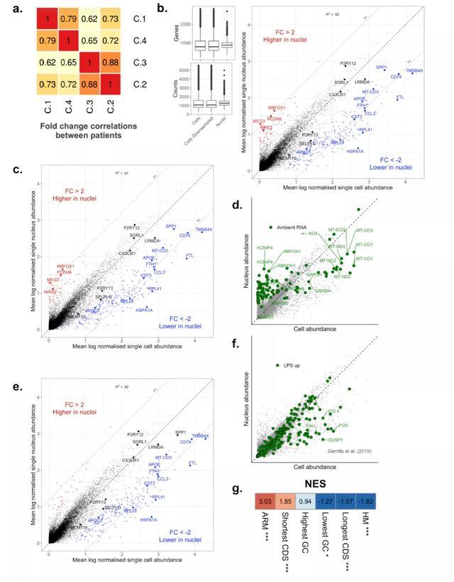 小胶质细胞|单核测序不适用于人类疾病中小胶质细胞的激活情况检测？！