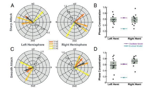 脑磁图|PNAS：音乐刺激调制神经节律的两种理论模型