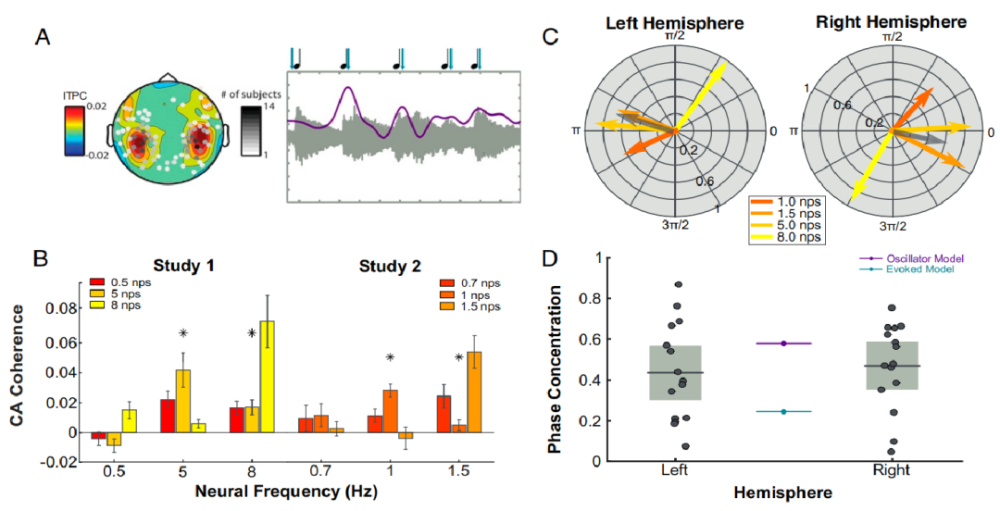 脑磁图|PNAS：音乐刺激调制神经节律的两种理论模型