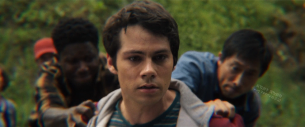 爱与怪物|没想到，居然被一部灾难片治愈了