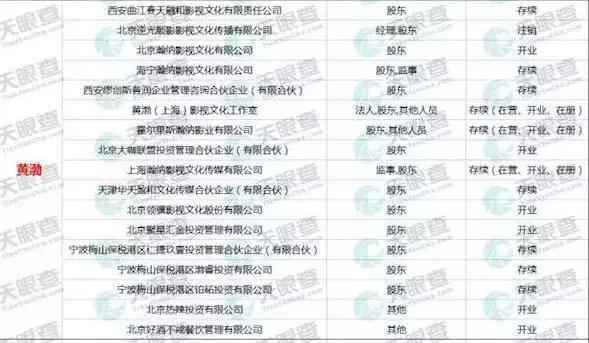 中国艺人资产排名_福布斯2019年中国明星收入排行榜,两名女星入围,范冰